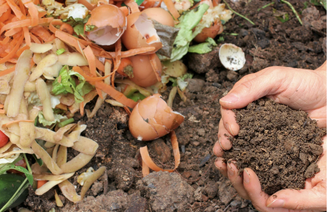 Restos de alimentos y cáscaras de huevo en compost como ejemplo de gestión de residuos orgánicos vinculada a la ley de desperdicio alimentario.