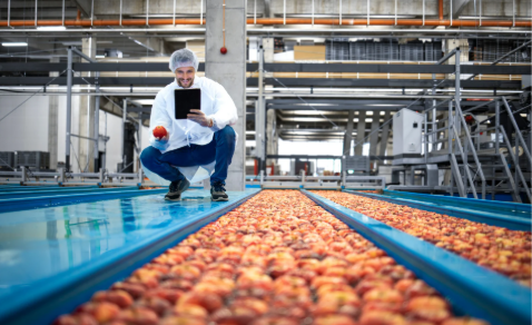 Control de calidad en línea de producción alimentaria según BRCGS Food Safety