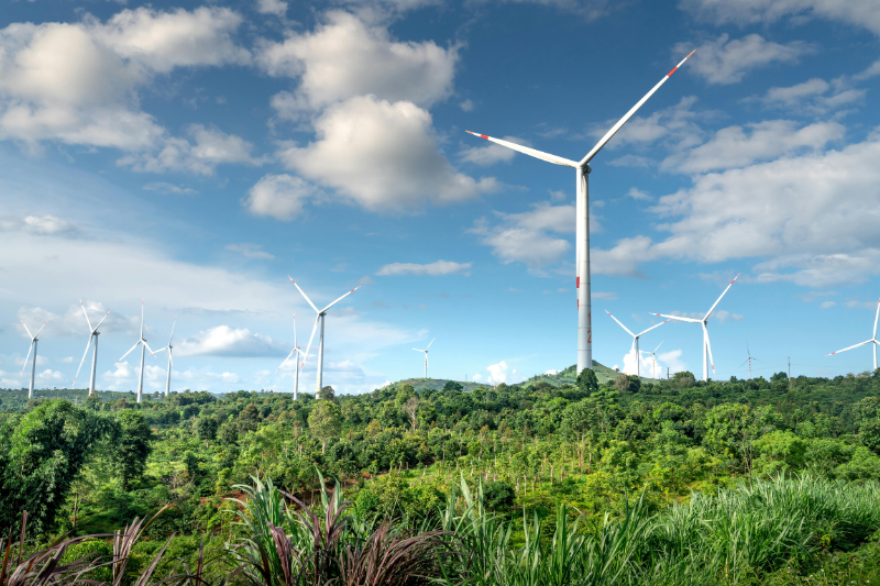 Qué son los criterios ESG y cómo certificarlos