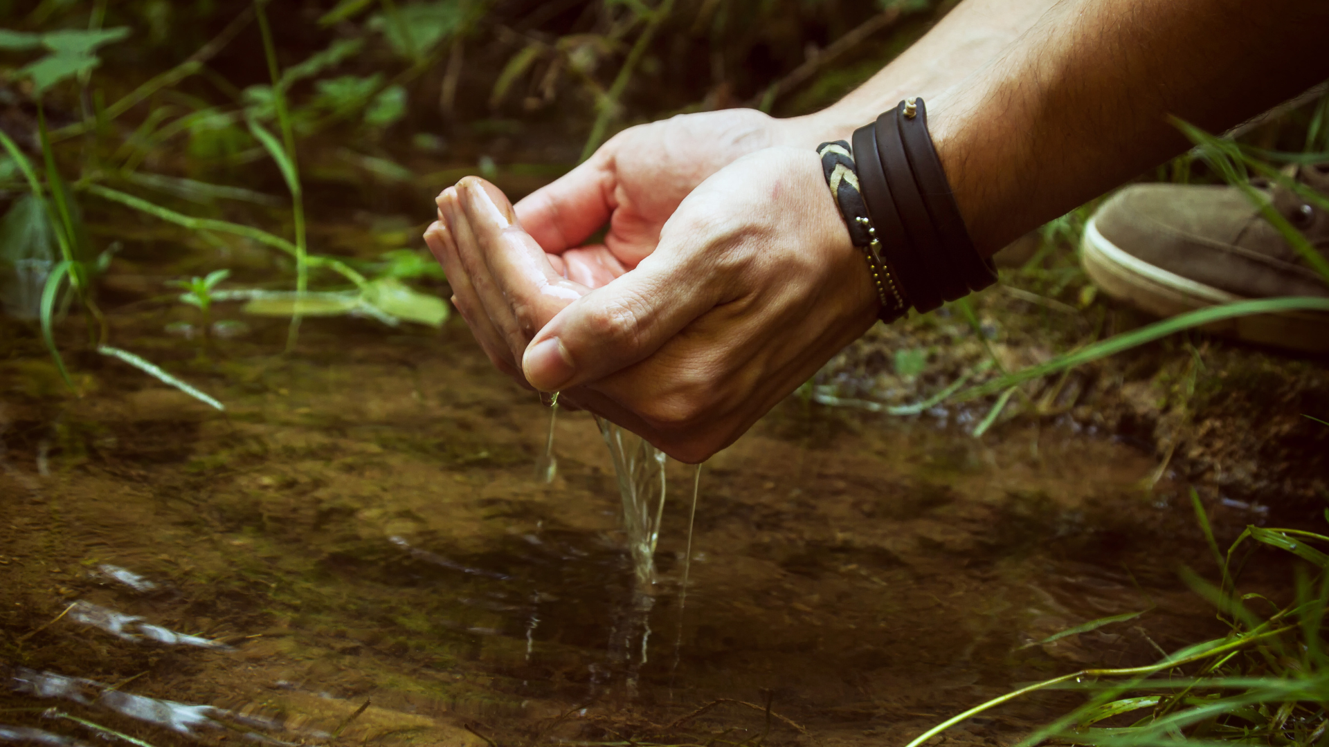 Water Friendly y la gestión responsable del agua