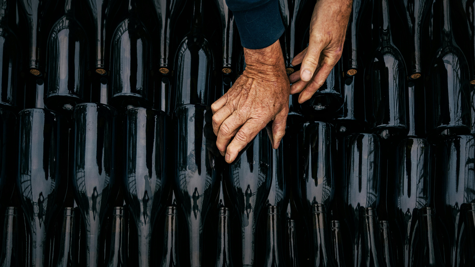 Manos seleccionando botellas de vino en bodega, representando el control y la trazabilidad en el proceso de certificación vegana VeG WINE para vinos veganos.