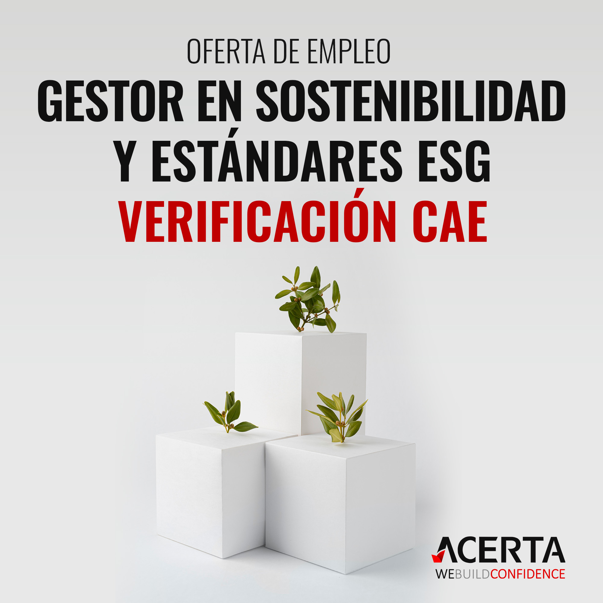 Gestor en sostenibilidad y estándares ESG verificación CAE Acerta